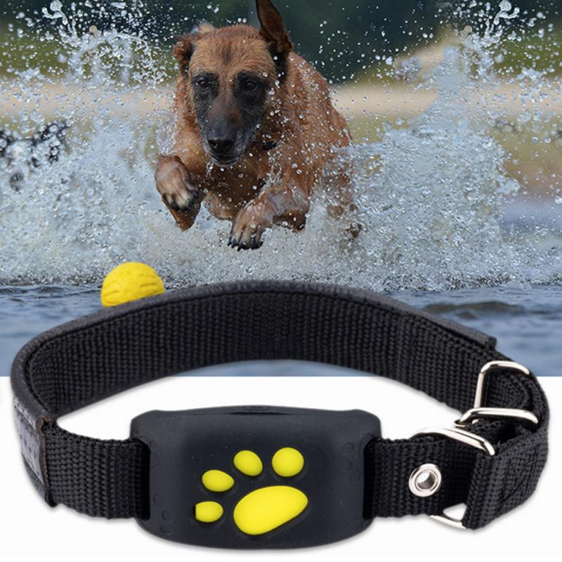 Pet GPS Tracker Dog Cat Collar Water-Resistant GPS Callback Function USB Charging GPS Trackers For Universal Dogs